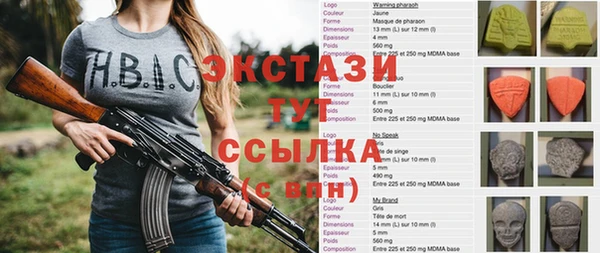 соль ск Краснослободск